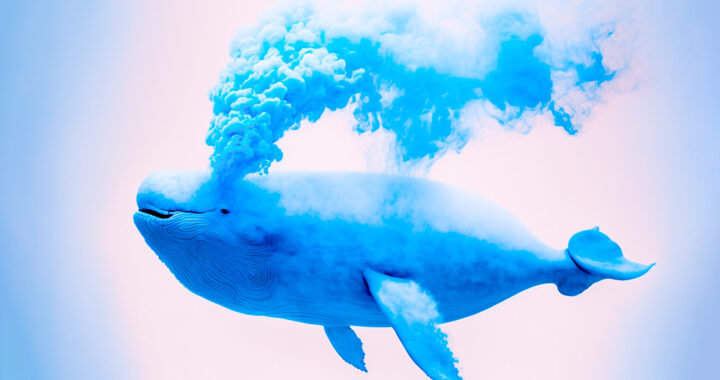 Crypto Whales bewegen meer dan $317.000.000 in Bitcoin, Ethereum, XRP