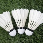 Twee historische prestaties voor Maleisië in wereldranglijst badminton